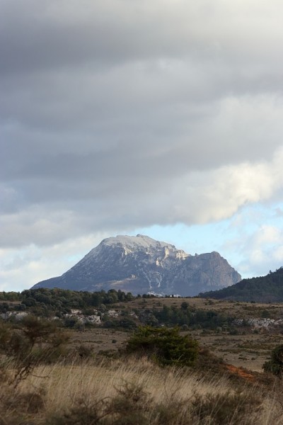在Corbières的Bugarach峰