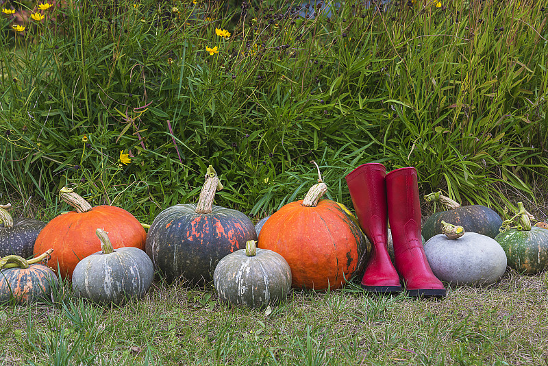 Autumn gardening composition
