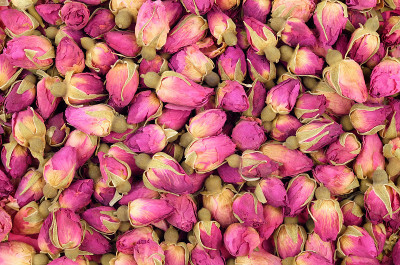 茶的花蕾