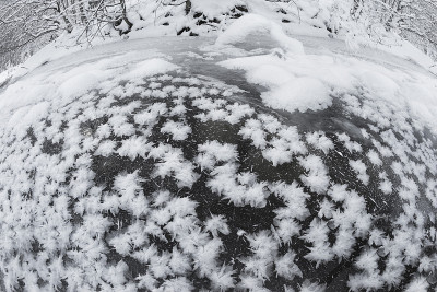 雪在寒冷中绽放