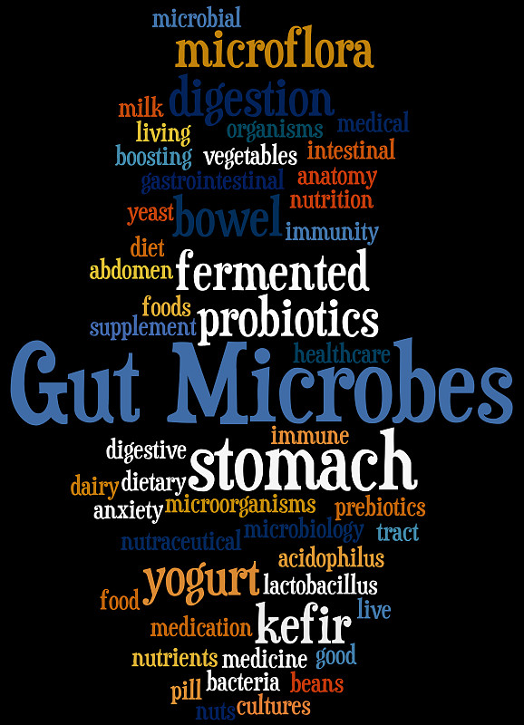 肠道微生物，词云概念