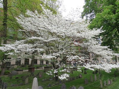 粮仓墓地
