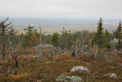 Vottovaara山腰