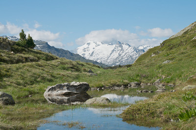 可爱的高山景观