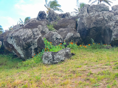 Orongo，复活节岛的相关性。