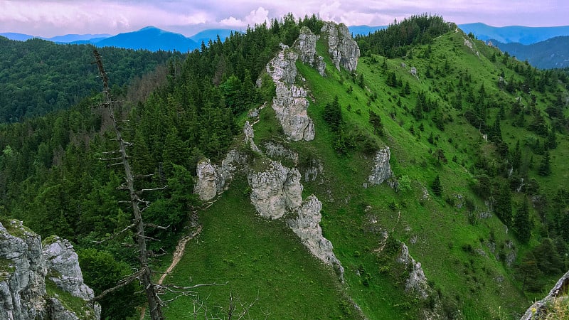 全景从Ostrá峰在斯洛伐克大法特拉或Velka法特拉山在喀尔巴阡西部