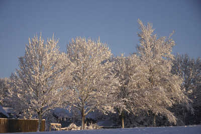冬季雪景卡迪夫，南威尔士，英国