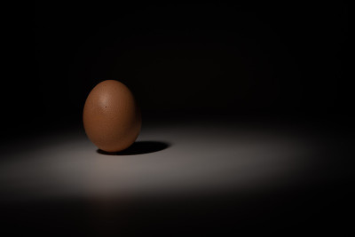 只有Egg