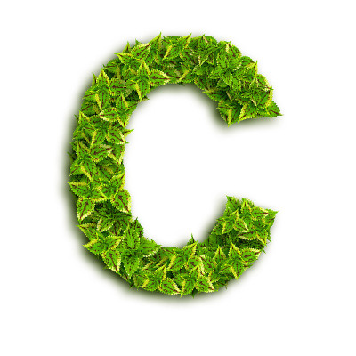 带叶子的字母C