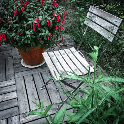 木椅和红紫红色