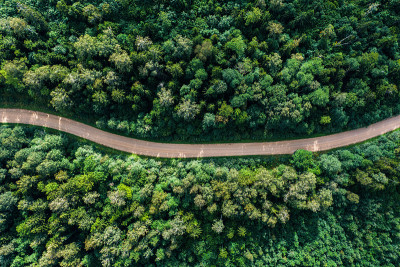 穿过森林的土路鸟瞰图
