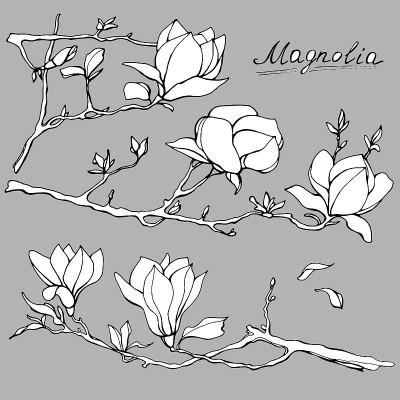 木兰花。手绘插图。向量的剪纸艺术
