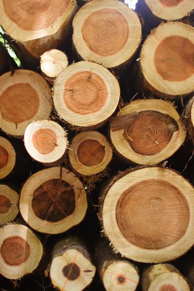 log5
