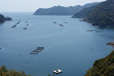 高村湾