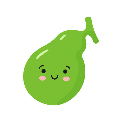 快乐健康的胆囊。矢量孤立的插图在白色的背景