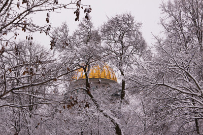冬景圣以撒大教堂的树枝覆盖着雪。俄罗斯圣彼得堡。