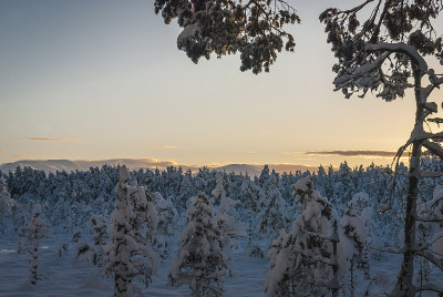 Cairngorm日落