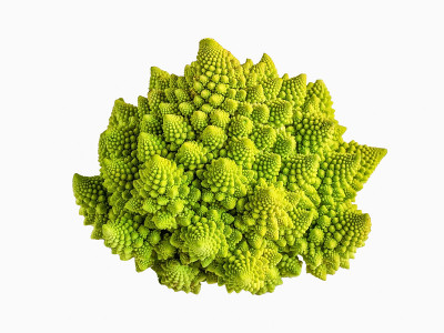 隔离新鲜有机卷心菜罗马