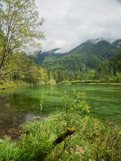 Schiederweiher，美丽的奥地利湖，靠近Hinterstoder
