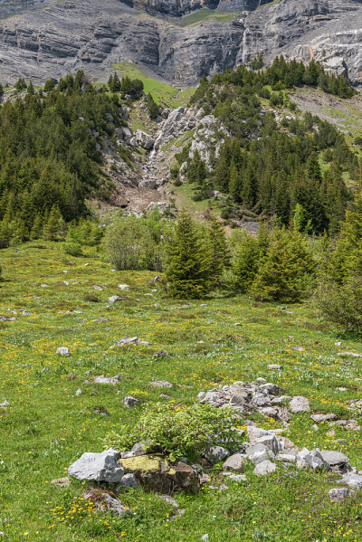 Kandersteg附近的Oeschinensee湖的风景
