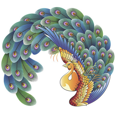 日本的孔雀