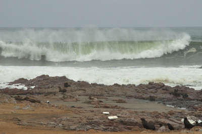 海浪和海角毛皮海豹