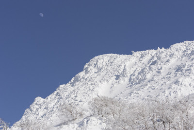 下雪的景色