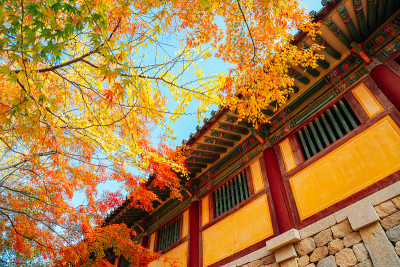 庆州枫叶佛国寺