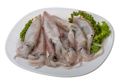 生鱿鱼