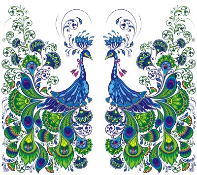 peacock drawing fantasy
