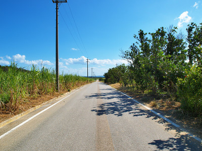 冲绳县Iriomote岛的风景