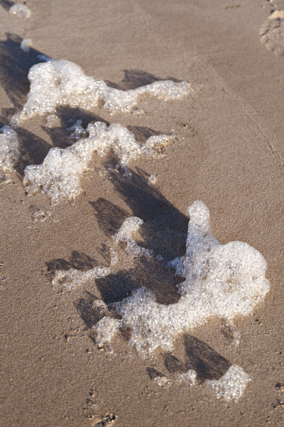 海滩的Amrum