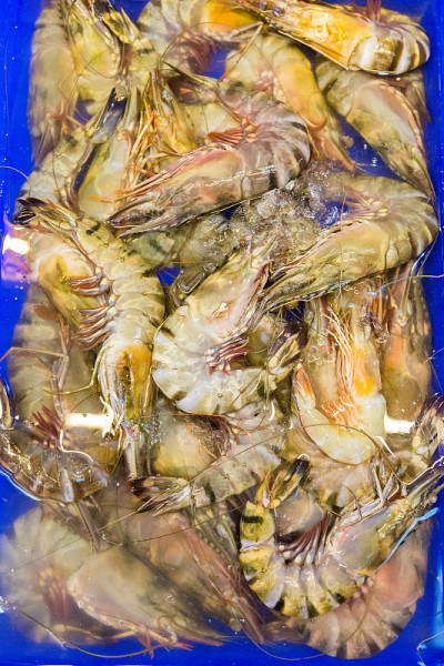 长岛鱼市的巨型对虾。泰国