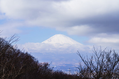 从Kintoki看富士山