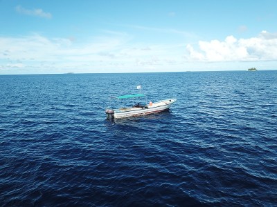 Uninhabited Island