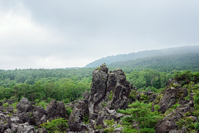 高原的熔岩。