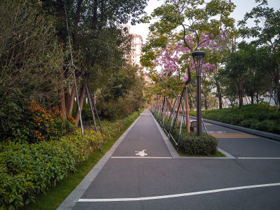 城市中的步行街