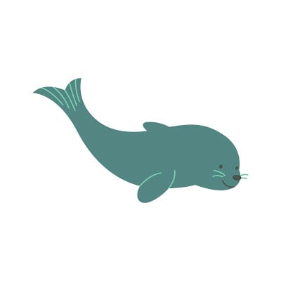 一只海豹