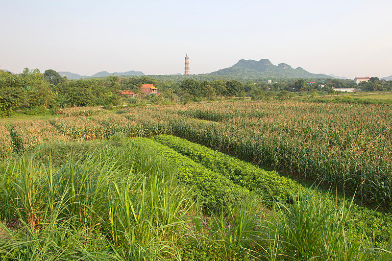 宁平，董安综合体的一部分，Tam Coc的喀斯特地层全景