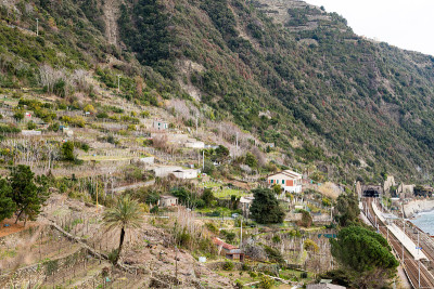 科尼格利亚火车站和葡萄园- 5 Terre (5 Terre)，五个村庄在意大利里维埃拉，利古里亚，