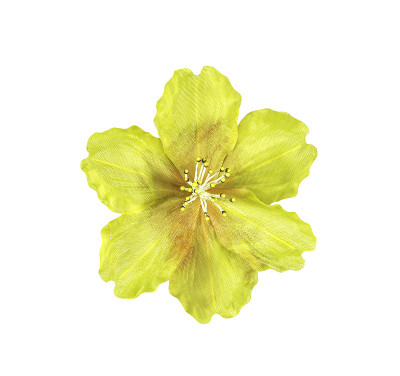 黄色人造花孤立