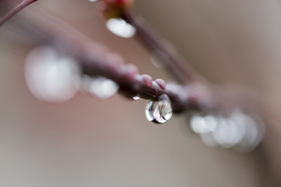 水滴