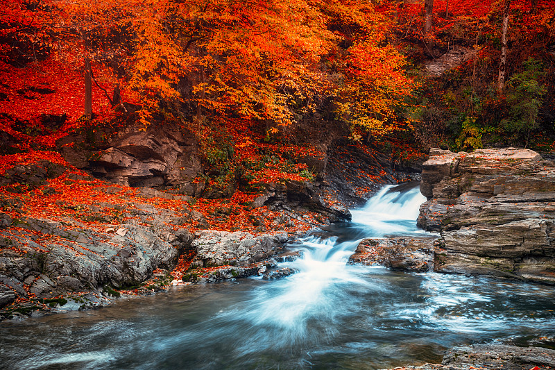 高山流水