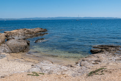 夏天发现波克雷勒斯岛。荒凉的海滩和松树在法国里维埃拉的景观