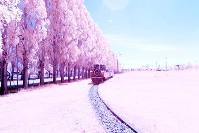 彩色红外景观