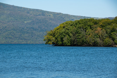 Quiet lake and green forest
