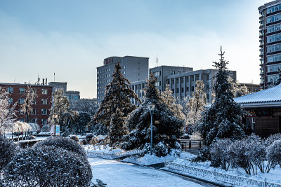 冬季景观御花园在长春，中国后大雪