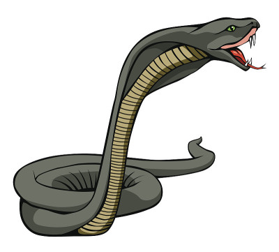 The snake vector design on white background