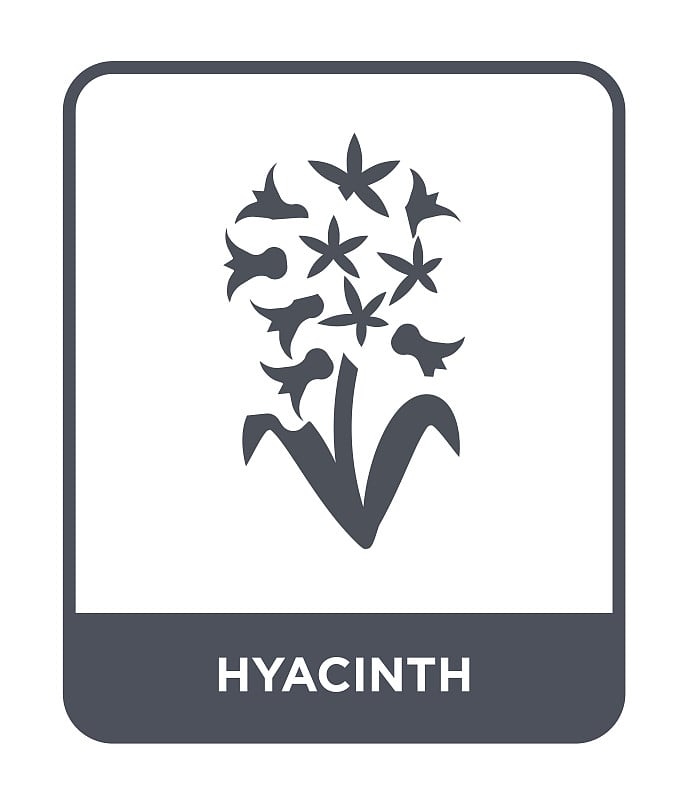 hyacinth icon vector on white background, hyacinth