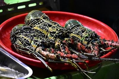 夜市上卖着新鲜的龙虾海鲜，kampung ujung labuan bajo